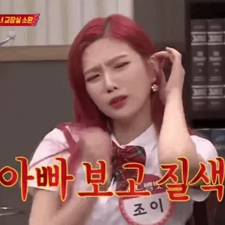 🏹 아빠 보고 뱅송 질색 kpop, red velvet, จอย, เกาหลี, ผู้หญิง, สีหน้า telegram sticker