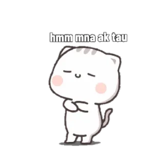 Kucing Gaje By @Si_Akmal whatsapp stickers