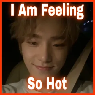 🥵 I Am Feeling
So Hot Mème, Drôle, Chaud, J'ai chaud telegram sticker