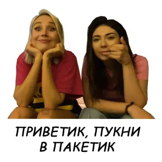 👋 ПРИВЕТИК, ПУКНИ В ПАКЕТИК telegram sticker