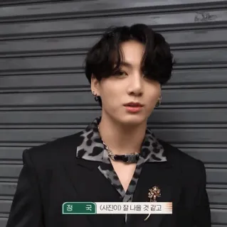 🕸 정 국 (사진) 잘 나올 것 같고 coreano, homem, fato, estampa de leopardo telegram sticker