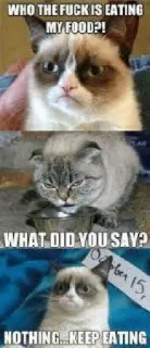 🍫 Grumpy Cat WHO THE FUCK IS EATING MY FOOD?!
WHAT DID YOU SAY?
NOTHING... KEEP EATING 猫, 表情包, 暴躁, 搞笑, 动物, 食物 whatsapp sticker