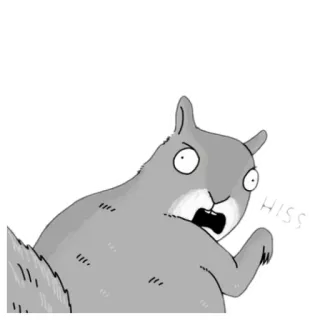 😡 HISS esquilo, desenho animado, chiado, animal, engraçado, adesivo telegram sticker