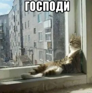 🌟 ГОСПОДИ chat, fenêtre, détente, contemplatif, russe, texte telegram sticker