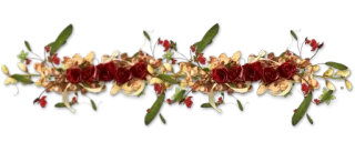 🤥 floral arrangement, flowers, decoration, bouquet, roses, leaves whatsapp sticker