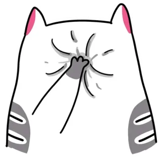 🤦‍♂️ แมว, ตกใจ, ปฏิกิริยา, น่ารัก, สัตว์ telegram sticker