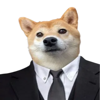 👨‍⚖️ 개, 시바견, 정장, 정장, 밈, 동물, 비즈니스 telegram sticker