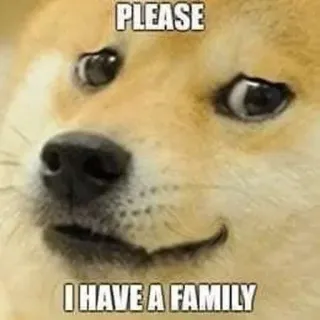 🥲 Doge Doge Meme PLEASE I HAVE A FAMILY doge, meme, shiba inu, pleading, funny, internet culture telegram sticker