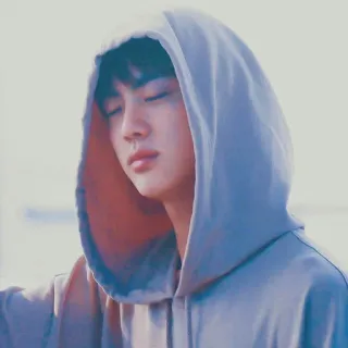 ☁️ Jin người, nam, áo hoodie, Hàn Quốc, K-pop, Jin, BTS telegram sticker
