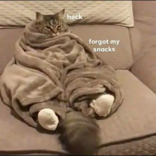 😩 heck
forgot my snacks แมว, ผ้าห่ม, ของว่าง, ตลก, สัตว์, มีม telegram sticker