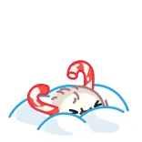 🥳 HOLIDAYS праздники, праздник, приветствие, праздничный, сезонный telegram sticker