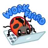 👨‍💻 mariquita, ordenador, portátil, dibujos animados, insecto, lindo whatsapp sticker