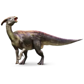 🦖 dinosauro, parasaurolophus, preistorico, animale, erbivoro, paleontologia telegram sticker