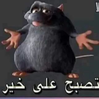 🤷‍♂️ تصبح على خير rat, animal, dessin animé telegram sticker