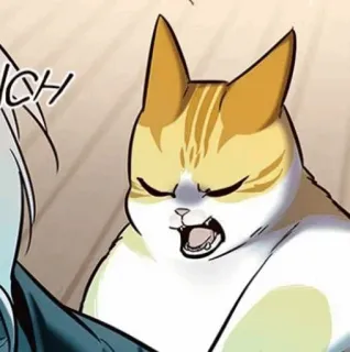 🥜 ICH cat, angry, cartoon, animal, meme telegram sticker