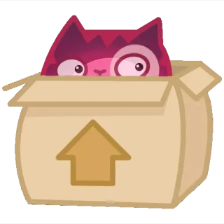👀 gatto, scatola, animale, cartone animato, adesivo telegram sticker