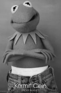 😏 Kermit Kermit Clein
UNDER WHERE? Kermit the Frog, parody, meme, humor, frog, kermit, clein telegram sticker