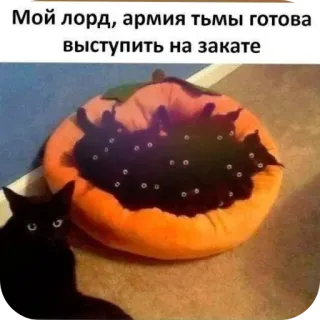 👍 Мой лорд, армия тьмы готова выступить на закате whatsapp sticker