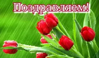 🔆 Поздравляем! bunga, tulip, selamat, salam, tulip merah, hujan telegram sticker