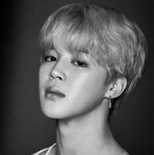 ⌚️ Jimin kpop, penyanyi, jimin, bts telegram sticker