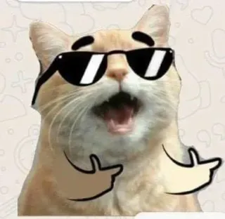 🤘 gato, óculos de sol, legal, animal, meme whatsapp sticker