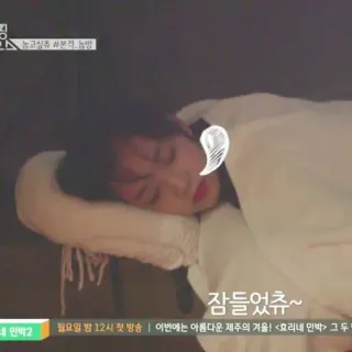 ❣ 네민박2
잠들었츄~
월요일 밤 12시 첫 방송 | 이번에는 아름다운 제주의 겨울! <효리네 민박> 그 두 telegram sticker