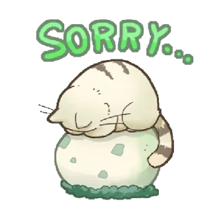 🙇 SORRY... chat, désolé, excuses, mignon, dessin animé, animal de compagnie, animal telegram sticker