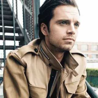 🔱 Sebastian Stan Sebastian Stan, ator, retrato, celebridade, homem, moda whatsapp sticker