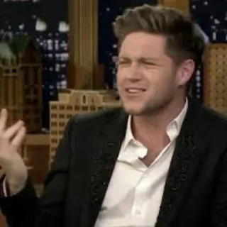 ❔ Niall Horan Niall Horan, singer, celebrity, one direction, interview, talk show telegram sticker