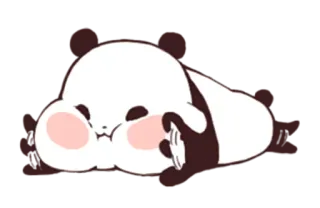 😤 panda, schattig, dier, slaperig, cartoon telegram sticker