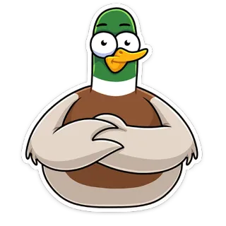 😳 pato, animal, desenho animado, pássaro telegram sticker
