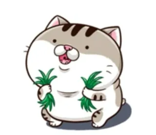 😂 Katze, süß, Tier, Haustier, kawaii, Gras, Cartoon, Aufkleber telegram sticker