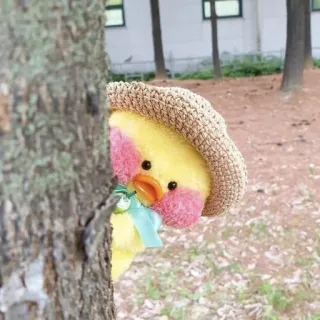 👀 toy, duck, cute, hat, peek whatsapp sticker