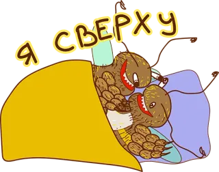 😂 Я СВЕРХУ Kreskówka, Zwierzę, Śpiący, Słodki, Tekst rosyjski, Zwierzęta, Łóżko telegram sticker