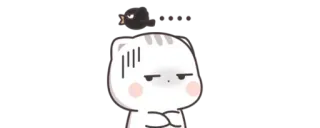 😒 Shut up gatto, arrabbiato, uccello, seccato whatsapp sticker