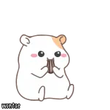 ✨ I wonfor hamster, animal, fofo, roedor telegram sticker