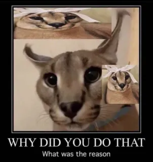 🐱 WHY DID YOU DO THAT
What was the reason Meme, Katze, Floppa, Tier, Lustig, Frage telegram sticker