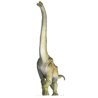 🦖 dinosauro, brachiosauro, erbivoro, collo lungo, preistorico, animale, rettile telegram sticker