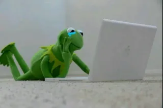 🐸 Kermit Kermit la rana, Muppets, piangere, triste, laptop, meme, rana, internet telegram sticker
