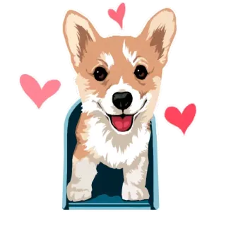 🐶 corgi, chó, dễ thương, động vật, trái tim, thú cưng telegram sticker