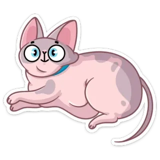 😳 gatto, animale, animale domestico, adesivo telegram sticker