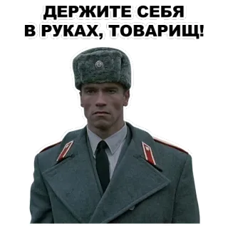 Шварценеггер @eeZee_stickers telegram stickers