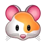 🐹
