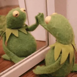 🚏 Kermit Kermit the Frog, mirror, frog, puppet, self-reflection telegram sticker