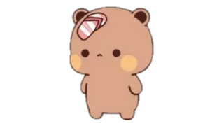 🍩 Bär, süß, Tier, Aufkleber telegram sticker
