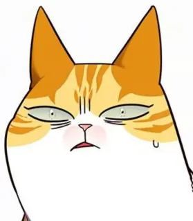 🐈 gato, dibujos animados, animal, pegatina, naranja, lindo telegram sticker