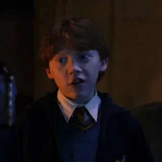 🦁 Ron Weasley Harry Potter ロン・ウィーズリー, ハリー・ポッター, キャラクター, 映画 telegram sticker
