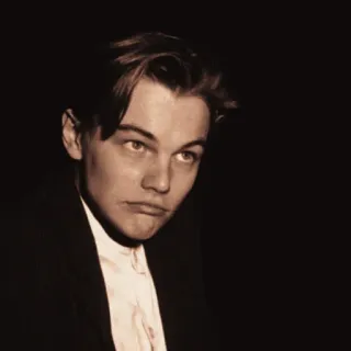 🌻 Leonardo DiCaprio actor, celebrity, portrait, young, man, film telegram sticker