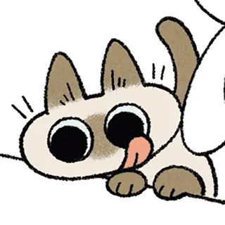 😋 cat, kitten, siamese, animal, cute, pet telegram sticker