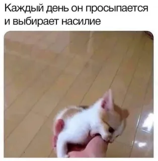 😡 Каждый день он просыпается и выбирает насилие telegram sticker